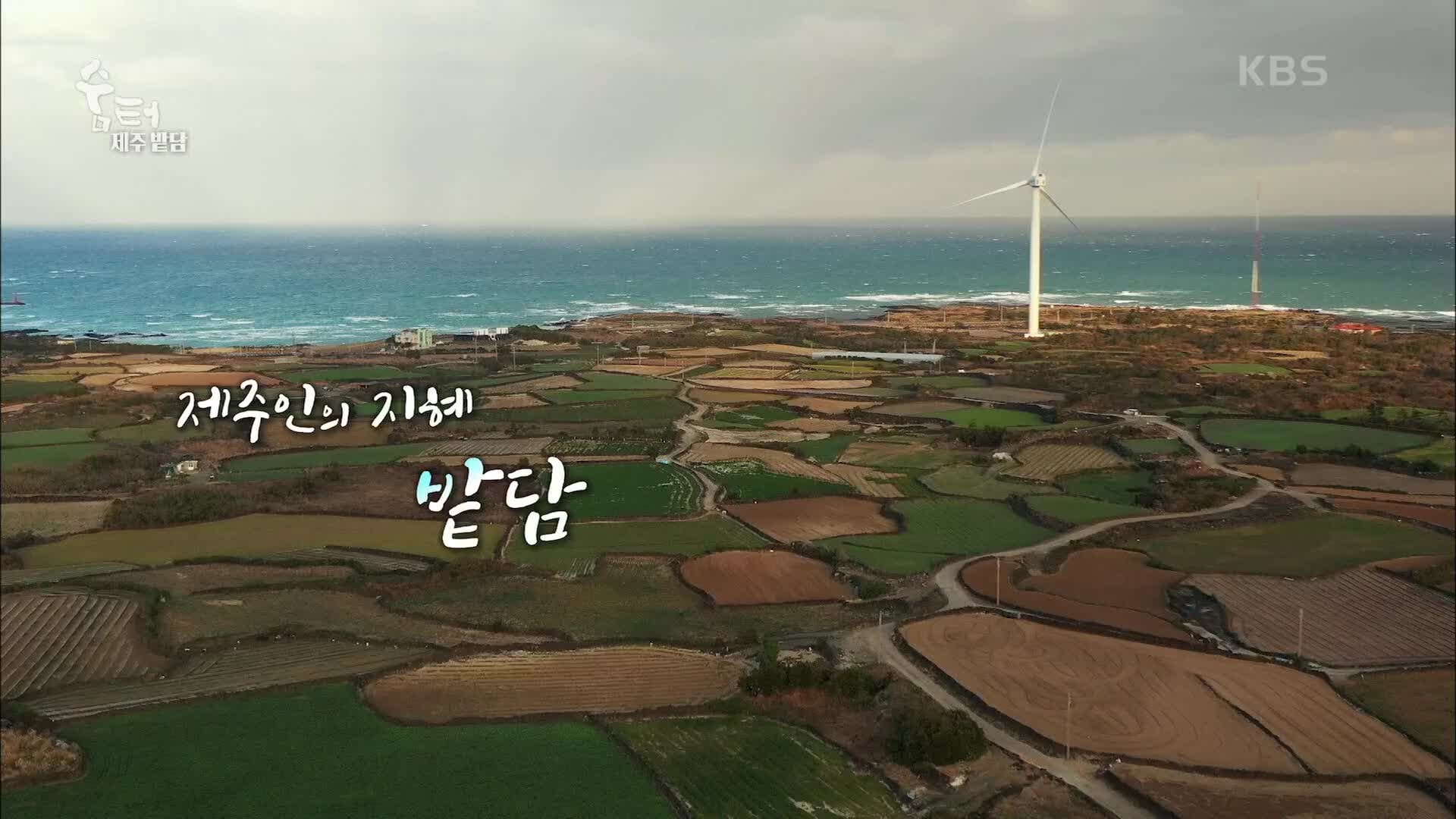 숨 터 - KBS