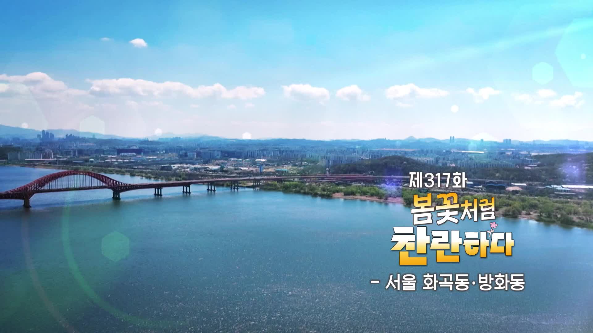 동네 한 바퀴 317회 재방송 다시보기